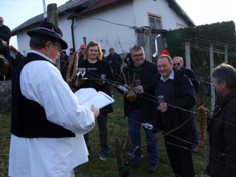 Ceremonijal blagoslova trsa vodio je Ljubo Grašić