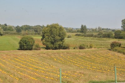 Započelo podnošenje zahtjeva za potpore u poljoprivredi