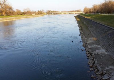 Svjetski dan voda  22. ožujka uz publikaciju i predavanje na temu monitoringa ptica