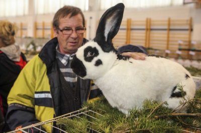 Za vikend u Ivanec na 9. međunarodnu izložbu malih životinja