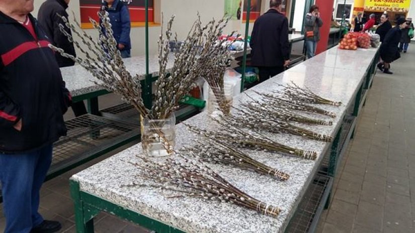 FOTO Prve &quot;cica mace&quot; na varaždinskom placu najavile proljeće