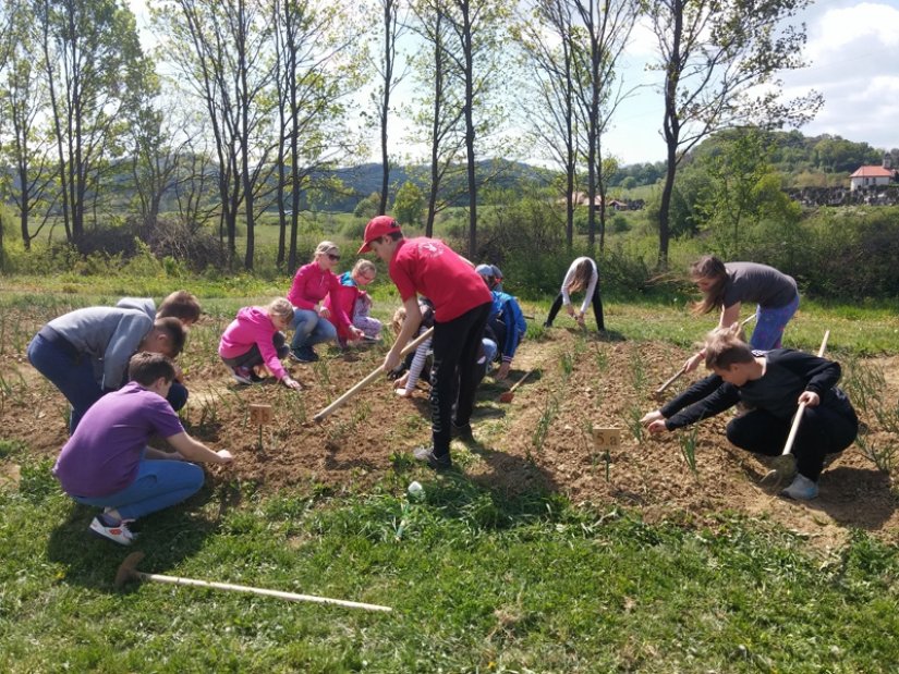 FOTO: I toplički učenici sudjelovali u Zelenoj čistki