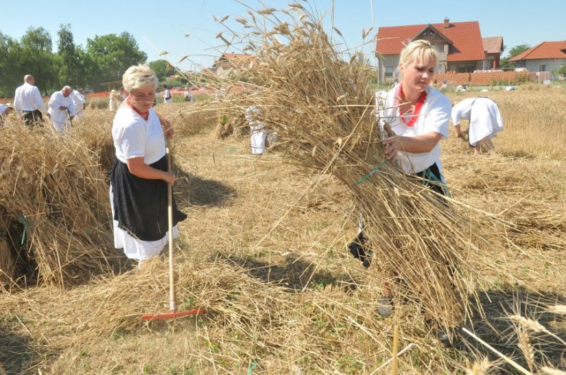 FOTO: Čuvari tradicije iz Hrvatske i Slovenije na Žetvenim svečanostima u Trnovcu