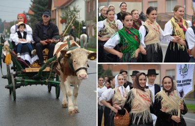 FOTO: Raspjevanim i rasplesanim mimohodom dočarali duh Zeljarijade