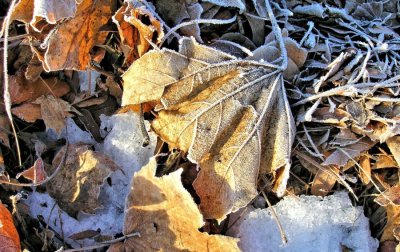 Pučka meteorologija: Što nam pretkazuju hladni dani i snijeg oko Martinja?