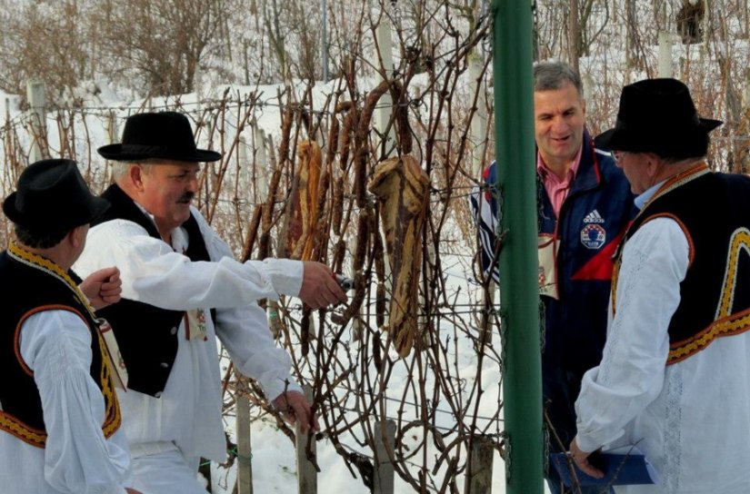 Ludbreški &quot;Trseki&quot; pripremaju proslavu Vincekova i 26. međunarodnu izložbu vina