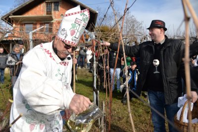 FOTO: Novomarofska proslava Vincekova okupila više stotina gostiju