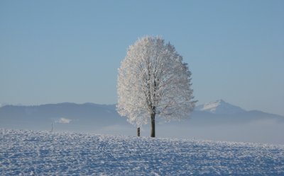 Iz riznice pučke meteorologije: Sveta Doroteja donosi smrzavicu