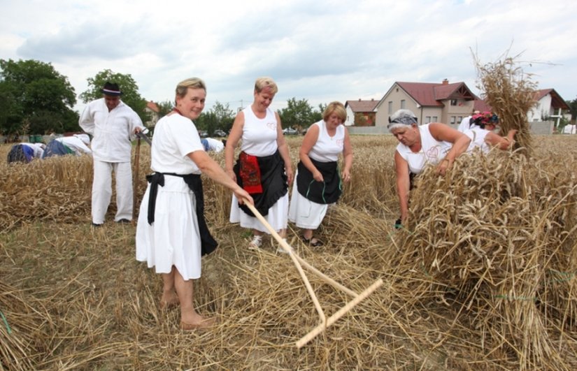 U subotu 7. Žetvene svečanosti Općine Trnovec Bartolovečki