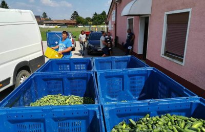 PZ Ludbreški kraj organizira predavanje o proizvodnji i otkupu povrća u novoj sezoni