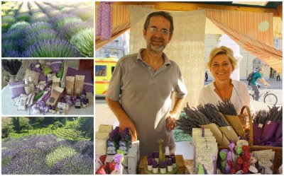 Lavanda s Varaždin Brega: obitelj Orešković uzgaja lavandu i od toga živi