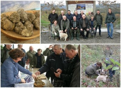 FOTO Tartuf hrvatskog sjevera: varaždinski i međimurski šumovlasnici učili od istarskih