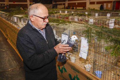 FAUNA U subotu i nedjelju izložba malih životinja u sportskoj dvorani OŠ Ivanec