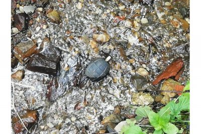 U potoku kod Lepoglave dva maloljetna dječaka pronašli ručnu bombu