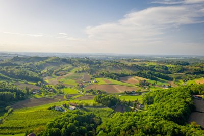 Otvoreni podrumi – Urbanovo 2021.