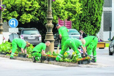 FOTO Novo cvjetno ruho Varaždina; Parkovi marljivo uređuju grad