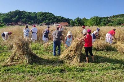 FOTO Žetvene svečanosti u Bisernoj dolini: prije posla trebalo se - dobro najesti!