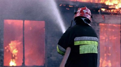 U požaru u skloništu za životinje izgorjelo i nekoliko mačaka