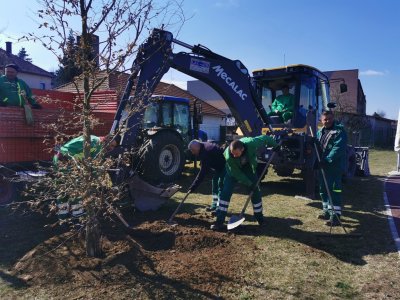 FOTO Zasađena stabla za ugodniji boravak djece u vrtiću Kućan