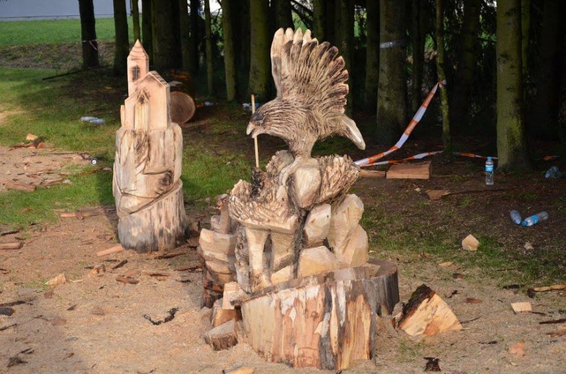 Posjetite Festival kiparenja motornom pilom u Salinovcu i pomozite malenom Dominiku