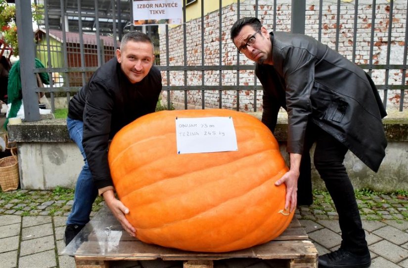 FOTO Nagrada za najveću tikvu od 248 kilograma osvojio je Silvio Hajduk iz okolice Toplica!