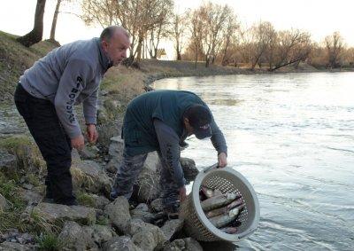 ŠRK VARAŽDIN Ove godine predviđeno poribljavanje s 2800 kilograma većinom mlađi ribe