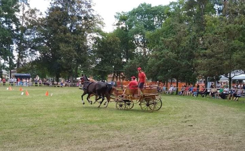 Udruga &quot;Konj, moj prijatelj&quot; promovira konjarstvo, konjički sport, ali i bogatu tradiciju ovog kraja