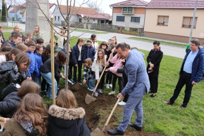 FOTO Novi drvored lipa u Biškupcu, najavljeni planovi budućeg ozelenjivanja grada