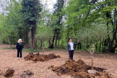 FOTO Za još ljepši i zeleniji grad: Varaždinske Toplice povodom Dan planeta Zemlje uspostavile jestivu dnevnu sobu!