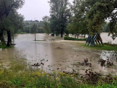 U cestičkom kraju Drava danas viša 20 centimetara: “Očekujemo daljni rast, situacija je pod kontrolom&quot;