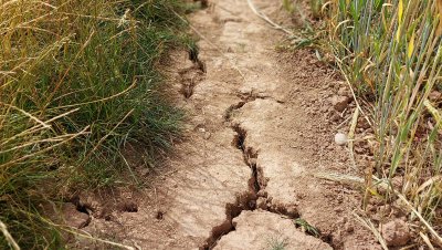 Kako klimatske promjene utječu na ratarstvo i povrćarstvo sjeverne Hrvatske?