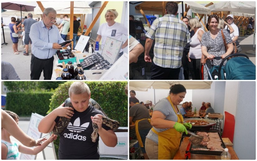 FOTO Veliko zanimanje za današnji Plac u Cestici i izložbu malih životinja