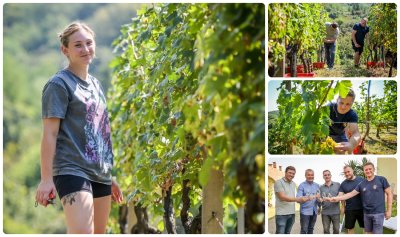 FOTO Vinogradi &quot;okupirani&quot; beračima, održana i tradicionalna Županijska berba