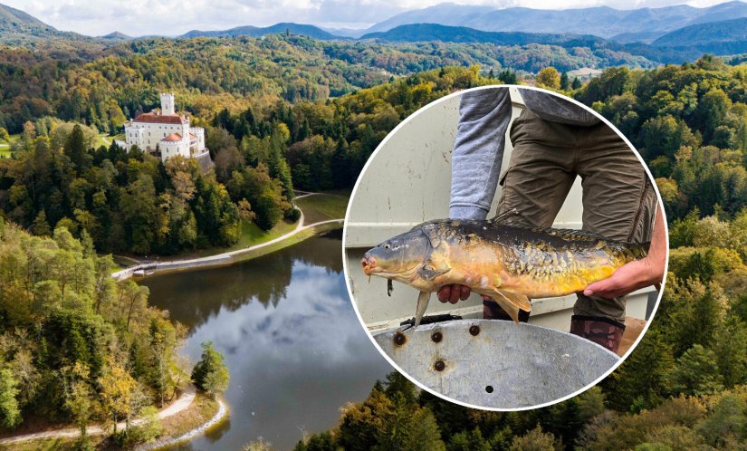 Trakošćansko jezero puni se ribom, poribljavanje počelo s 270 kg šarana