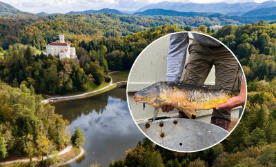 Trakošćansko jezero puni se ribom, poribljavanje počelo s 270 kg šarana