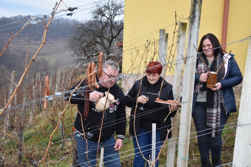 Udruga vinogradara Sveti Martin Cestica poziva na „Vincekovo“ na Lovrečan Breg