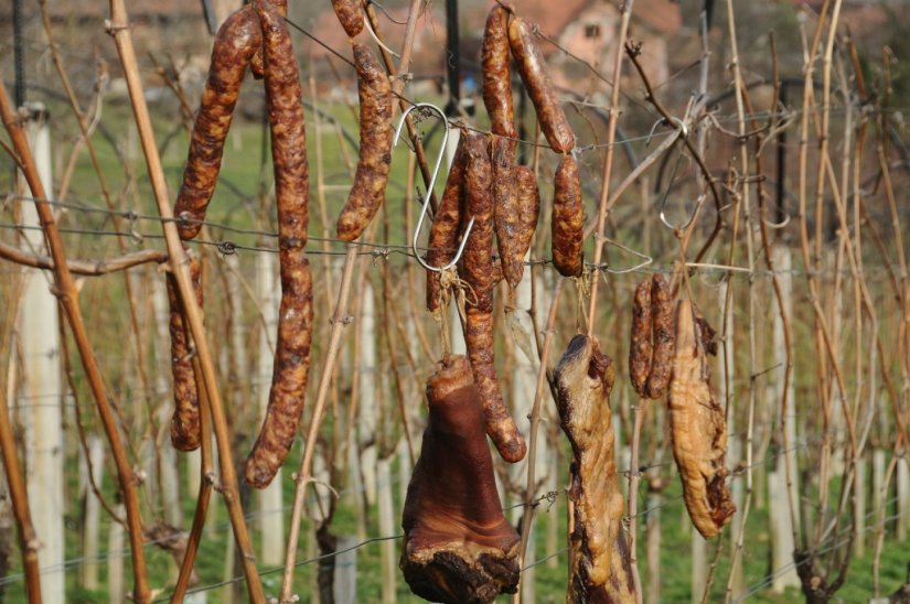 Vinogradari u Svetom Iliji slave Vincekovo uz blagoslov kapelice sv. Vinka