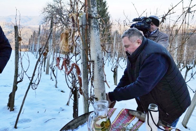 FOTO „Krštenjem” trsa započela nova vinogradarska godina u Varaždinskim Toplicama