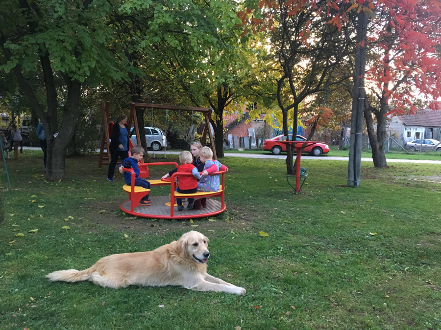 mjesni_park_u_Cestici_2.JPG