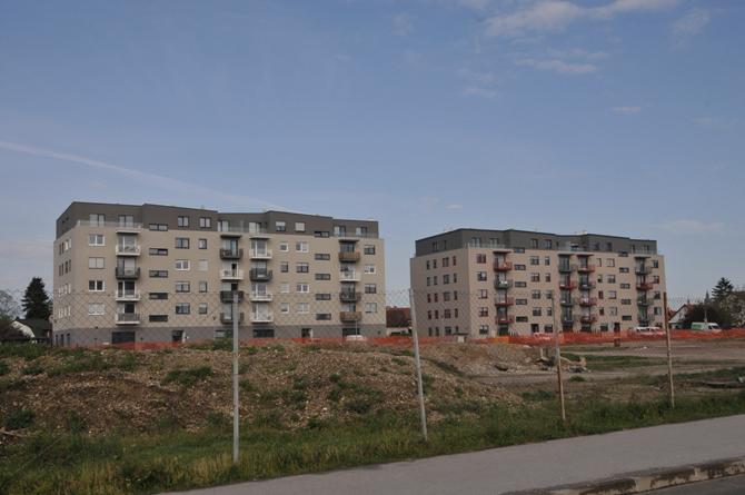  DSC5024