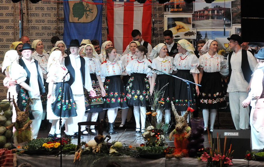 vidovec-put_varazdinskog_zelja_-_udruga_zeljari_48.JPG