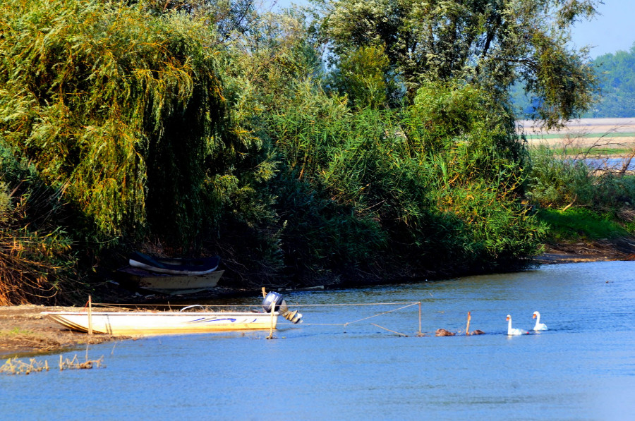 varazdin-jezero-snizeni-vodostaj_19.jpg