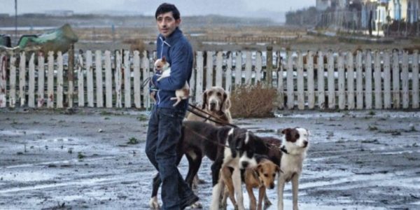 czk_dogman-2-600x300.jpg