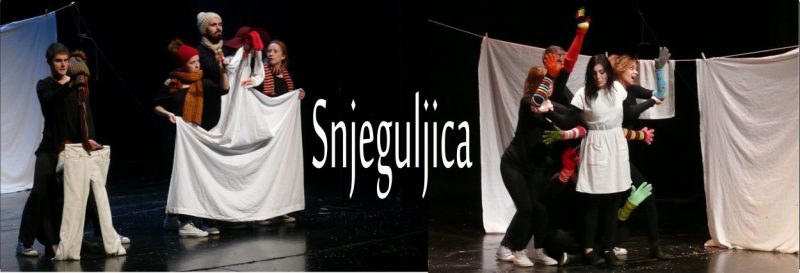 snjeguljica-1-800x273.jpg