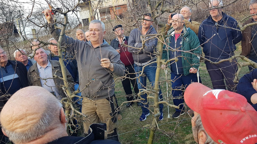 udruga_varazdinbreg_edukacija_orezivanje_vocki_5.jpg