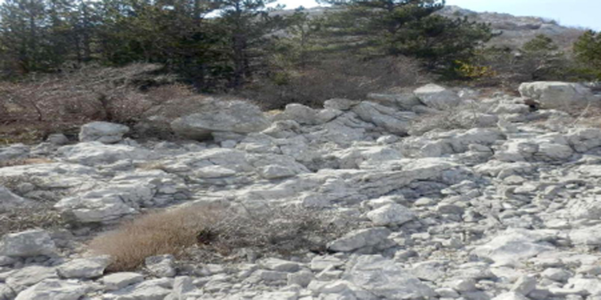PASNJACI-10.jpg