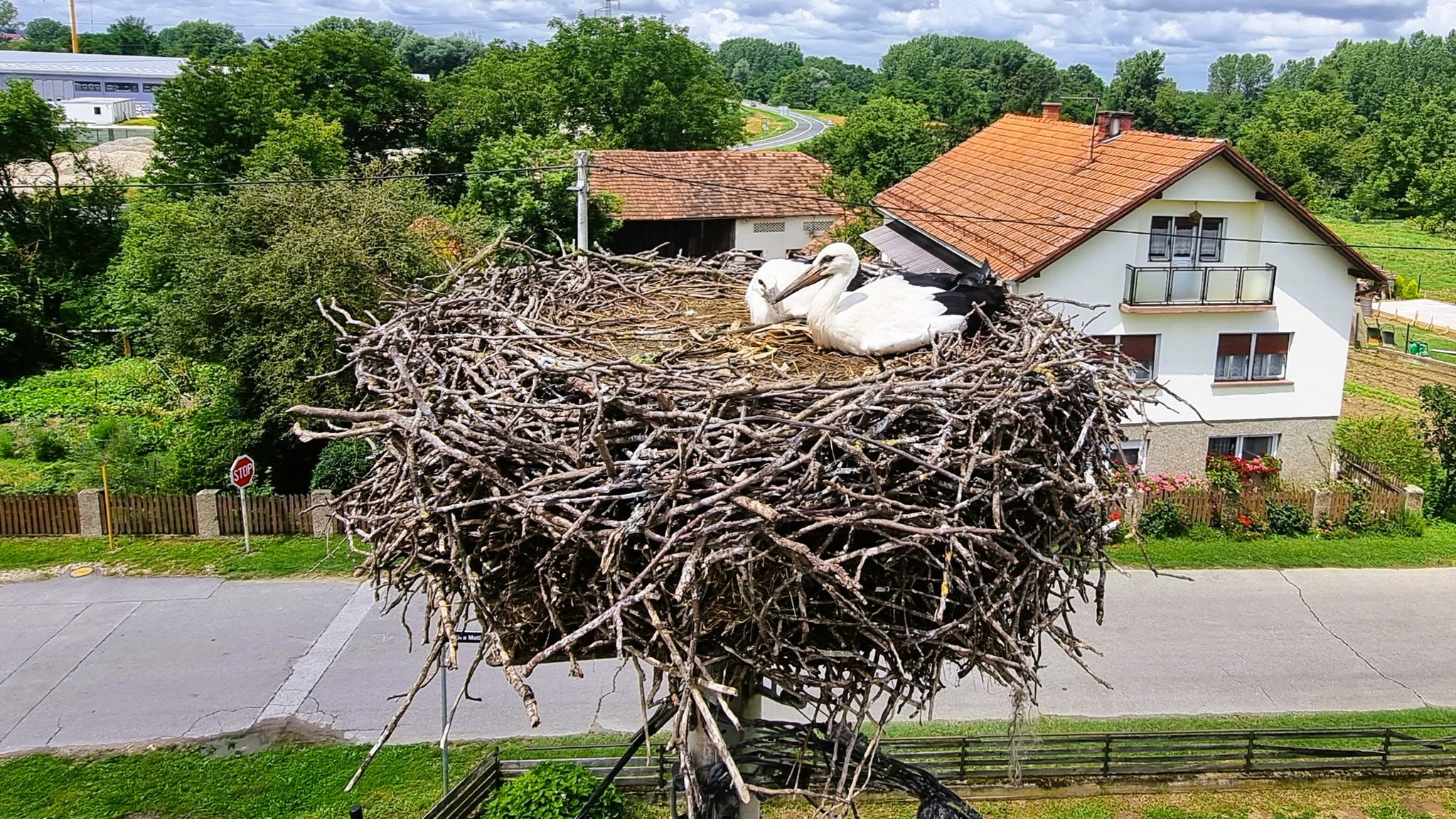 ju_priroda_varazdinske_zupanije_-_rode_4.jpg