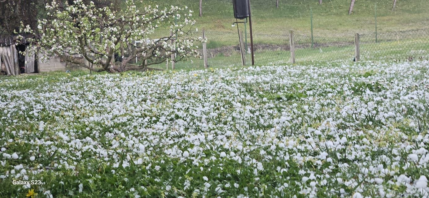 tuca_jalkovec_02042024.jpg