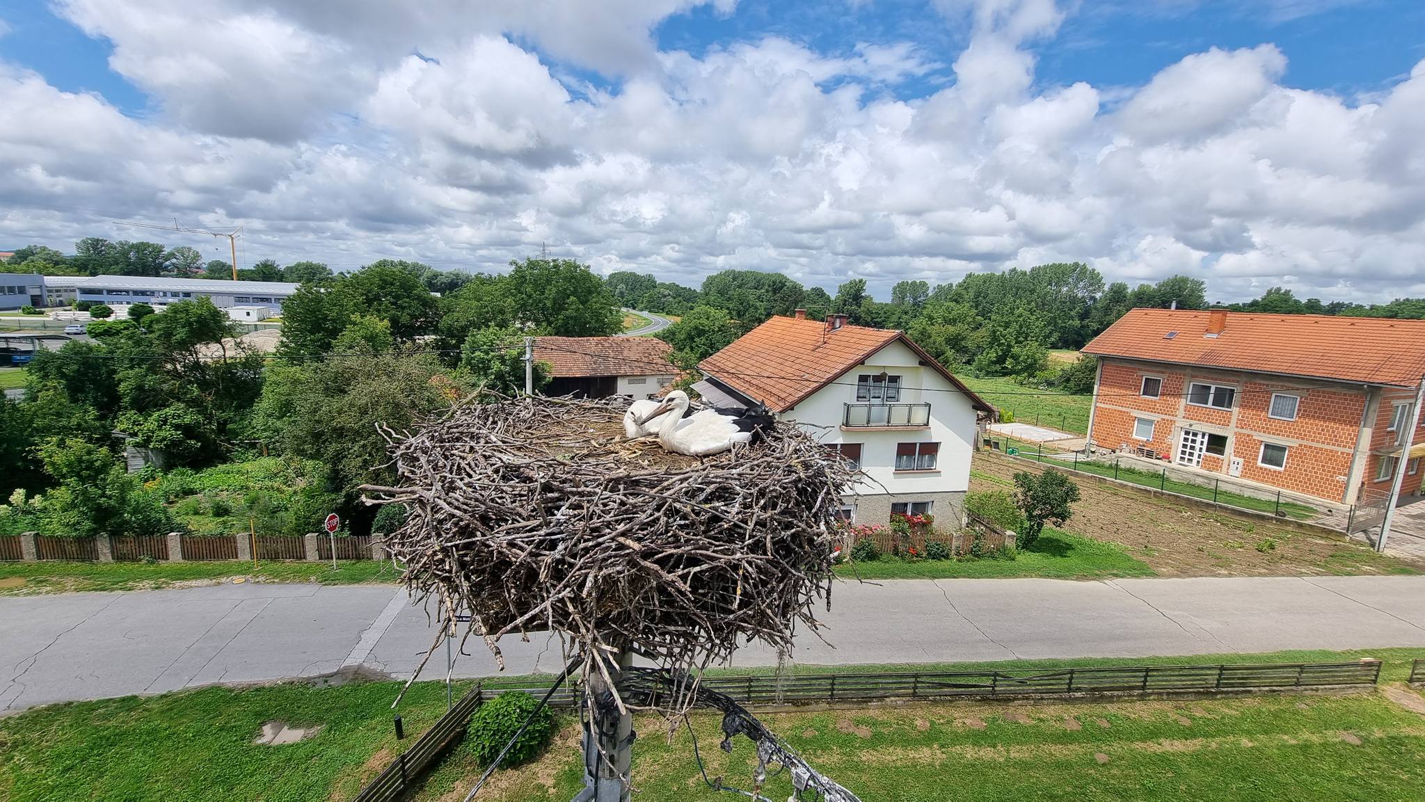 rode_javna_ustanova_priroda_varazdinske_zupanije_27062024_1.jpg